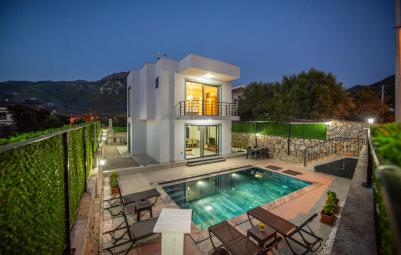 villa-ozel-13_945.jpg