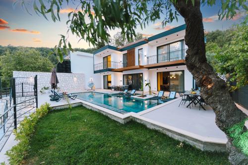 villa-akbulut-4-villacentam-23_128.jpg