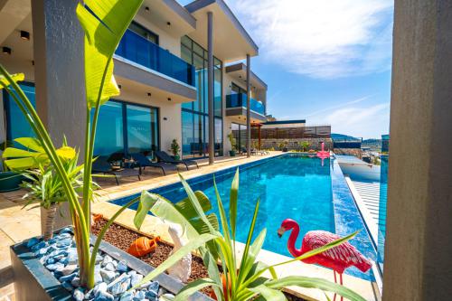 Villa Anıl - Sonsuzluk Havuzlu ve Hamamlı Kiralık Villa |